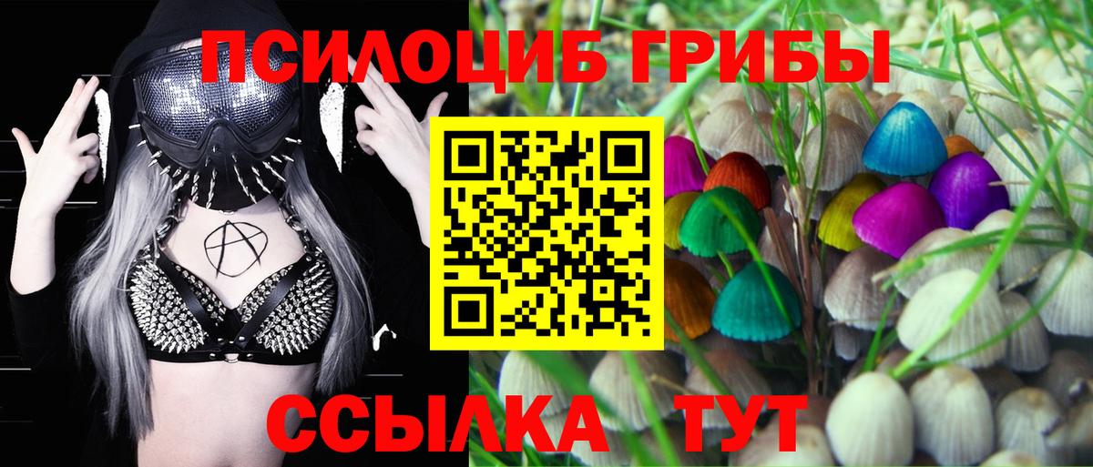Реутов  Галлюциногенные грибы Psilocybe  Вход с VPN  Псилоцибиновые грибы ЛСД 